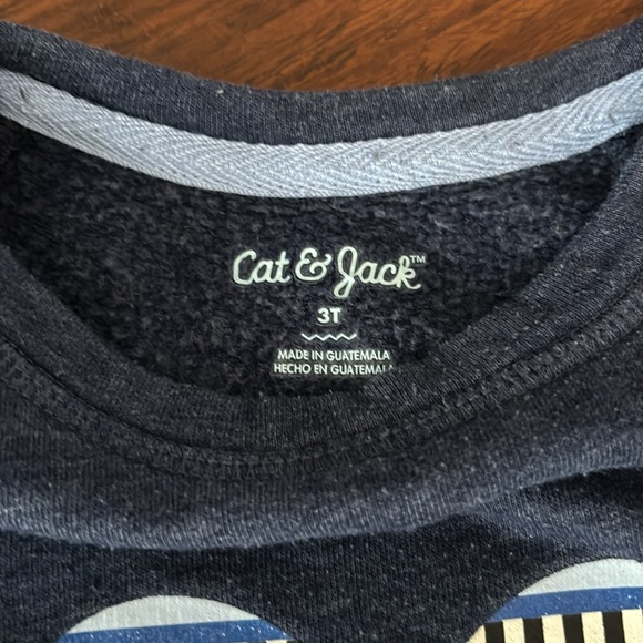 Sweatshirt and 2 pairs of jeans 3T Cat & Jack & Old Navy - Picture 4 of 11